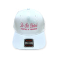 Do Not Disturb, Tanning in Progress Embroidery Hat - Different Styles